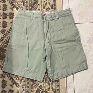 Men's Sage Green Embroidered Shorts